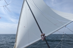 PXL_20230819_111047799