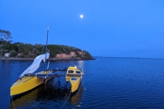 PXL_20230601_202541819