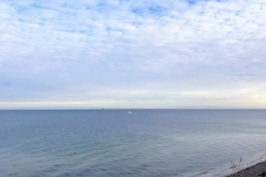 IMG-20231126-WA00042