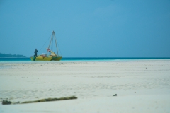 A6303856