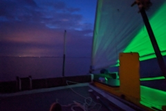 PXL_20240621_005430049