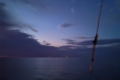 PXL_20240621_010655823