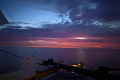 PXL_20240621_010718221