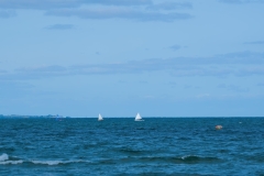 A6305397-min