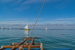 A6305428-min