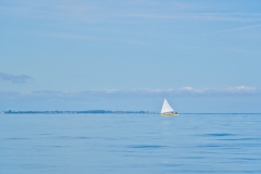 A6305442-min