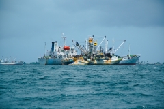 A6301546