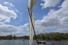 PXL_20220504_110650747