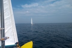 IMG_20210726_110254544_BURST000_COVER_TOP