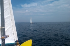 IMG_20210726_110254544_BURST001