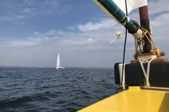 IMG_7238