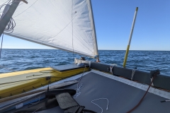 PXL_20220811_154611359