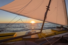 PXL_20220811_184734142