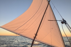 PXL_20220811_184759473