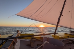 PXL_20220811_185052828