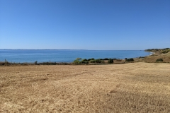 PXL_20220812_124340444