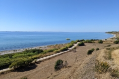 PXL_20220812_124430416