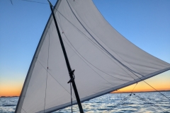 PXL_20220812_193547207.MP_