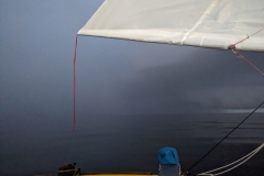 PXL_20240716_201626376