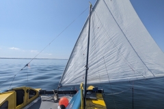 PXL_20240719_084526825