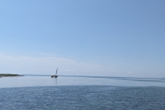 PXL_20240719_121332986