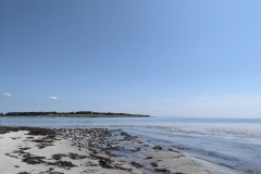 PXL_20240719_123845850