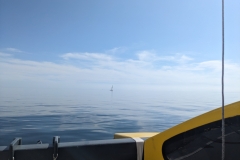 PXL_20240719_143714212