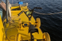 PXL_20240719_174520704