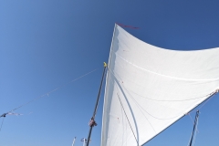 PXL_20240720_081608779