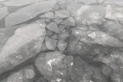 PXL_20211227_103005924